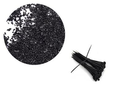 2023年第三十屆色母粒行業(yè)學(xué)術(shù)交流會(huì)圓滿落幕！??！